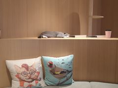 -CAT’S MEWSTAR CAFE·喵星球猫屋(晴湾咖啡店)