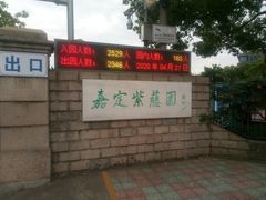 -嘉定紫藤园