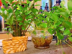 -古春堂凉茶甜品(拱北口岸店)
