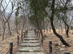 -阳台山自然风景区