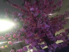 -北药泉
