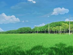 -嘉北郊野公园