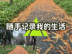 -尚贤河湿地