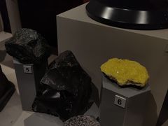 -正佳自然科学博物馆