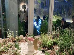 -春树下·树屋花房西餐厅(罍街AS1980店)