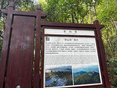 -东莞市大岭山森林公园