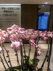 -四川米兰柏羽医学美容医院