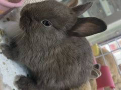 -三旗百汇商品城