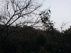 -雨花胜境