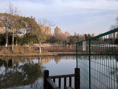 -青枫公园