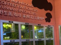 -芸山季·云南野生菌火锅(宝能环球汇店)