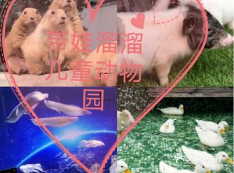春天来了带孩子来和小动物亲密接触