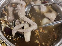 药膳乳鸽-百利鸽王(紫薇路店)