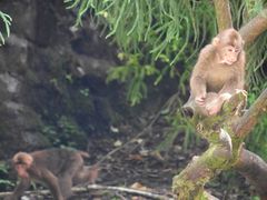 -西岭雪山大飞水景区