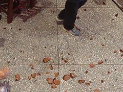 -巴人堂(女儿城店)