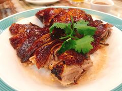 -椿记烧鹅(叠彩店)