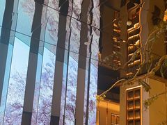 -桂满陇·海市蜃楼·黑金(国金店)