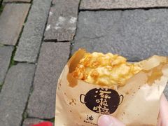 -乌镇东栅景区