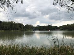 -昆山城市生态森林公园