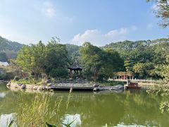 -广州市帽峰山景区