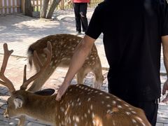 -水上乐园·欢乐世界