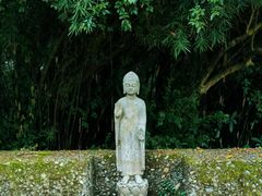 -鹿野苑石刻艺术博物馆