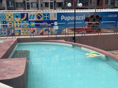 -帕帕拉兹宠物(亚洲旗舰店)