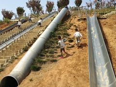 -绵阳盛世樱花悠乐谷