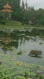 -四海公园(南山区)