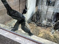 -昆明动物园