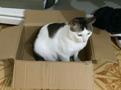-深圳野生动物园