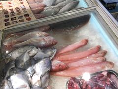 -潮人姐妹轩(海宁路店)