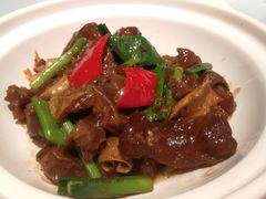 牛腩煲-花城苑广府菜(海心沙店)