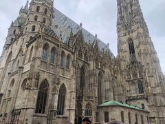 -斯蒂芬主教座堂(Stephansdom)