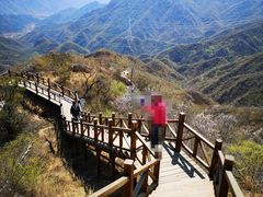 -大岭沟猕猴桃谷风景区