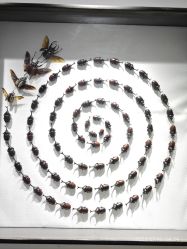 -酷嗒动物文化乐园(cutezoo西溪乐天城店)