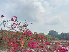 -星湖旅游景区七星岩
