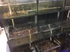 水产区-天天渔港海鲜酒家(石浦玉泉路店)