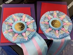 -鑫艺宠物美容培训学校