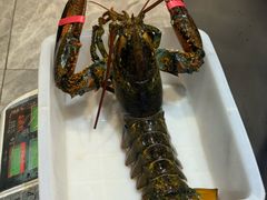 -大众海鲜(巨龙北路店)