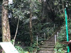 -七仙岭温泉国家森林公园