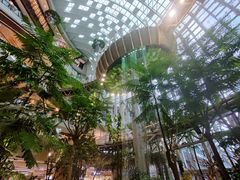 -二刀潮牛(重庆光环购物公园店)