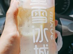 -蜜雪冰城(彰武店)