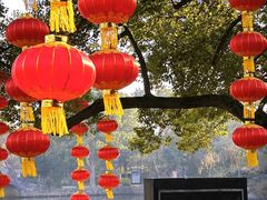 -无锡蠡湖国家湿地公园-蠡园
