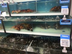 -盒马鲜生(大成店)