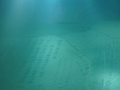 -白鹤梁水下博物馆