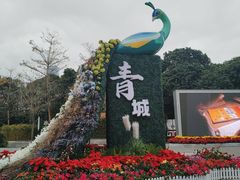 -荔枝公园(福田区)