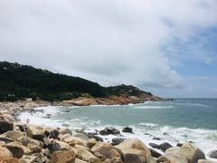 -广东惠东海龟国家级自然保护区