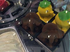 -BLACKSWAN黑天鹅(环球店)