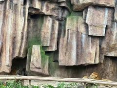 -长鹿旅游休博园